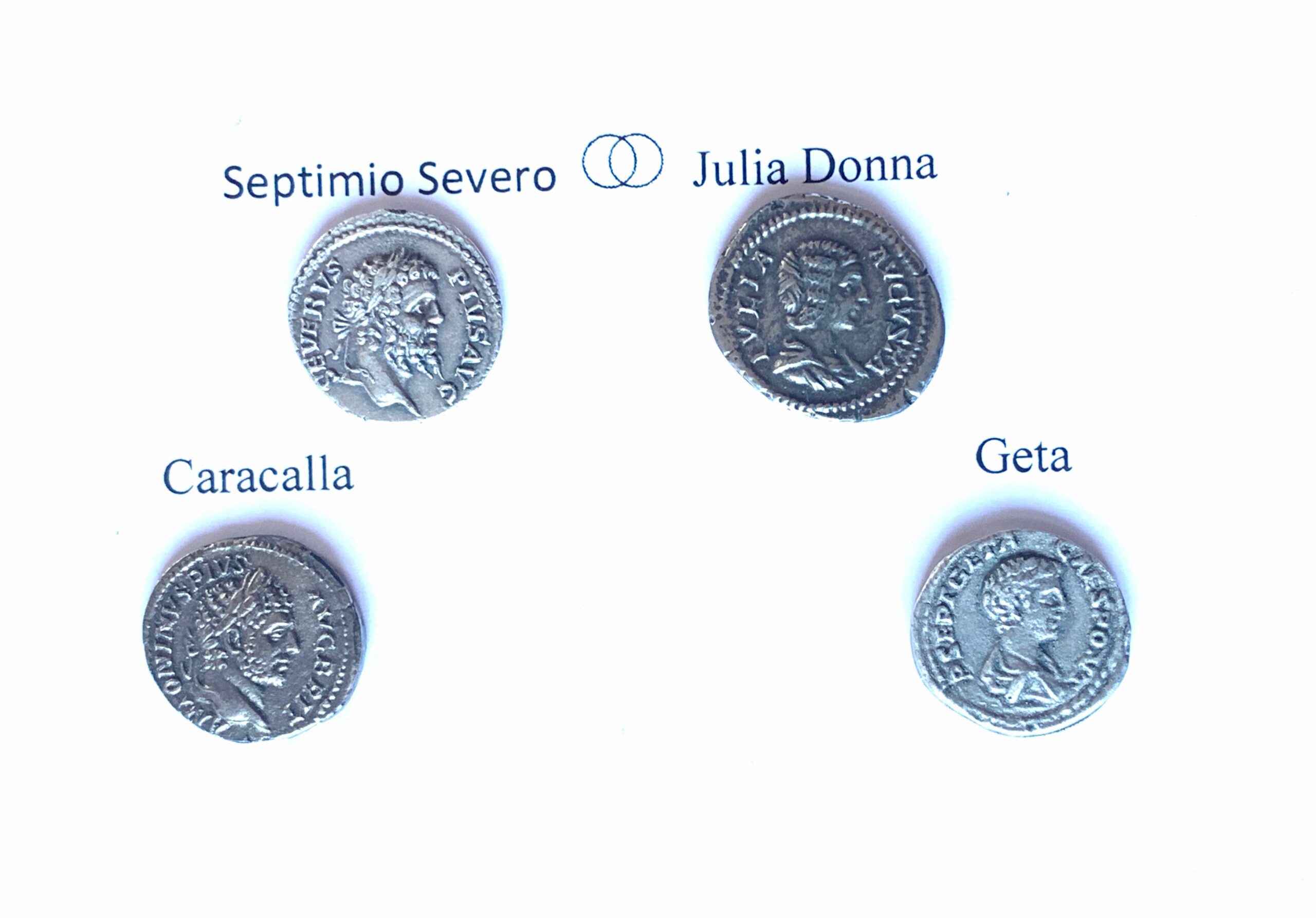 Lote familia Septimio Severo.