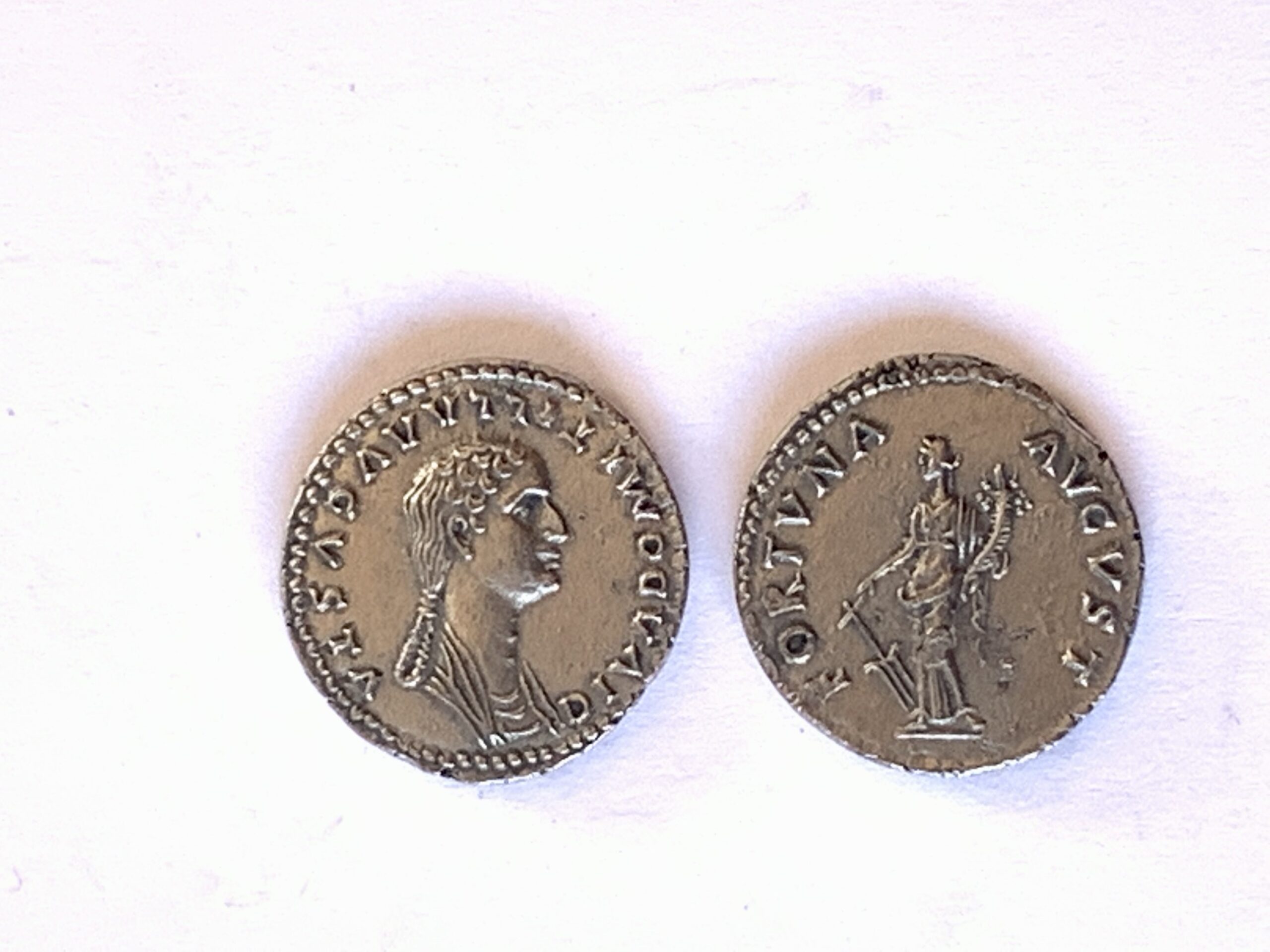 denario de Domitila.